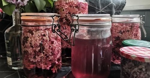 Blog Zéro-Déchet : Assouplissant maison aux fleurs de lilas