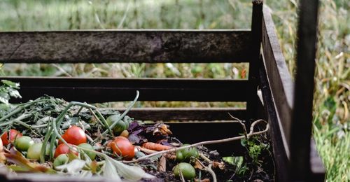 Compostage obligatoire en France 