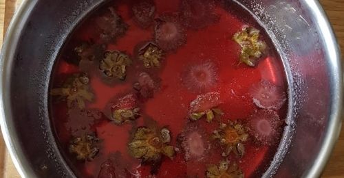 Blog Zéro-Déchet : Comment faire du sirop de queues de fraises