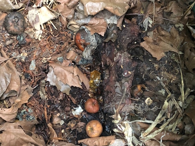 compost