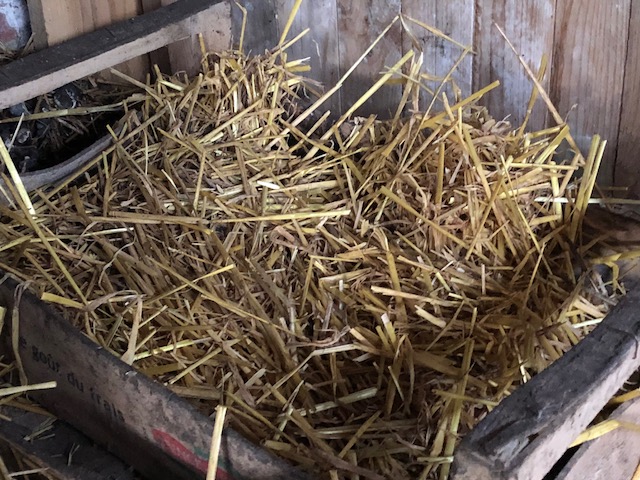caisse en bois