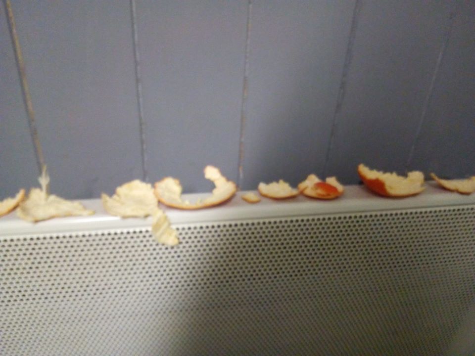 laisser sécher les pelures