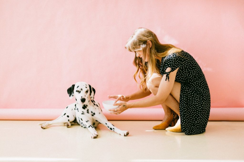 nourrir son chien en mode zéro déchet
